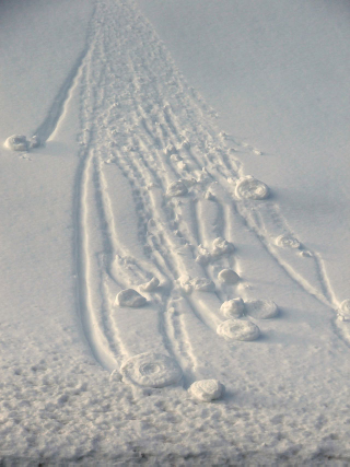 Illustration for article titled These bizarre snow rolls were actually created by the wind